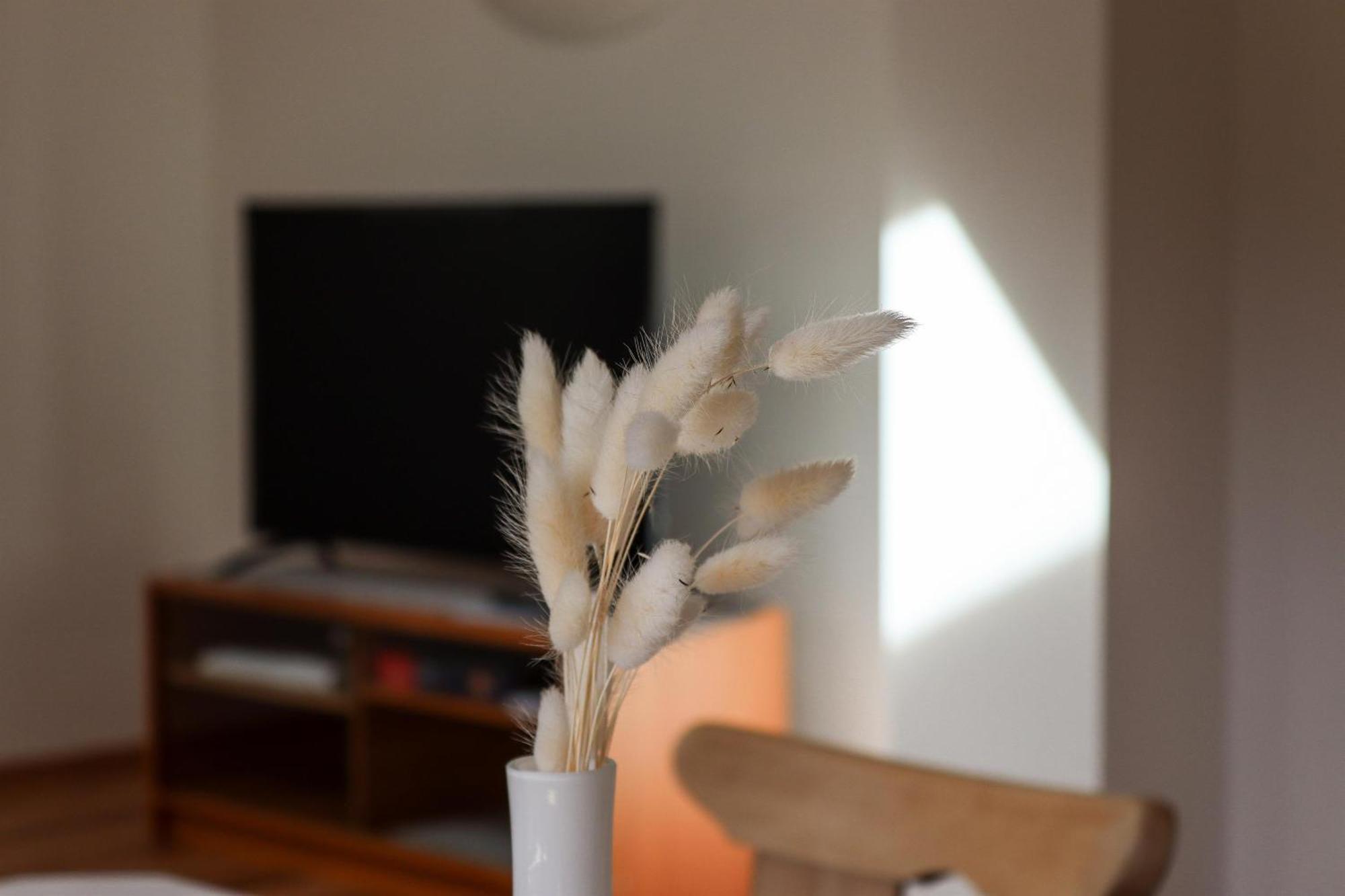 קירשברג אין טירול Apartment Vordermitterast מראה חיצוני תמונה